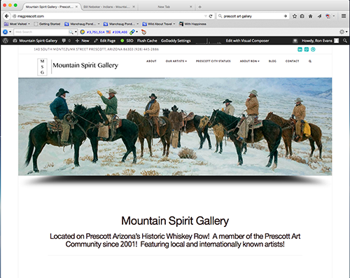 Mountain Spirit Gallery Website