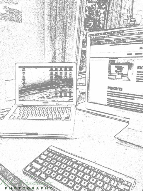 Web Development Insights