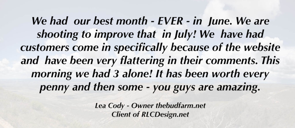 Website success from RLC Design SEO Mobile Design Specialists
