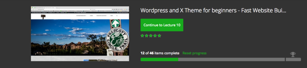 Wordpress and X Theme for beginners video training class